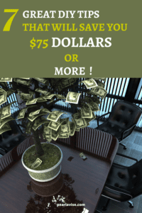 DIY Tips Money Tree