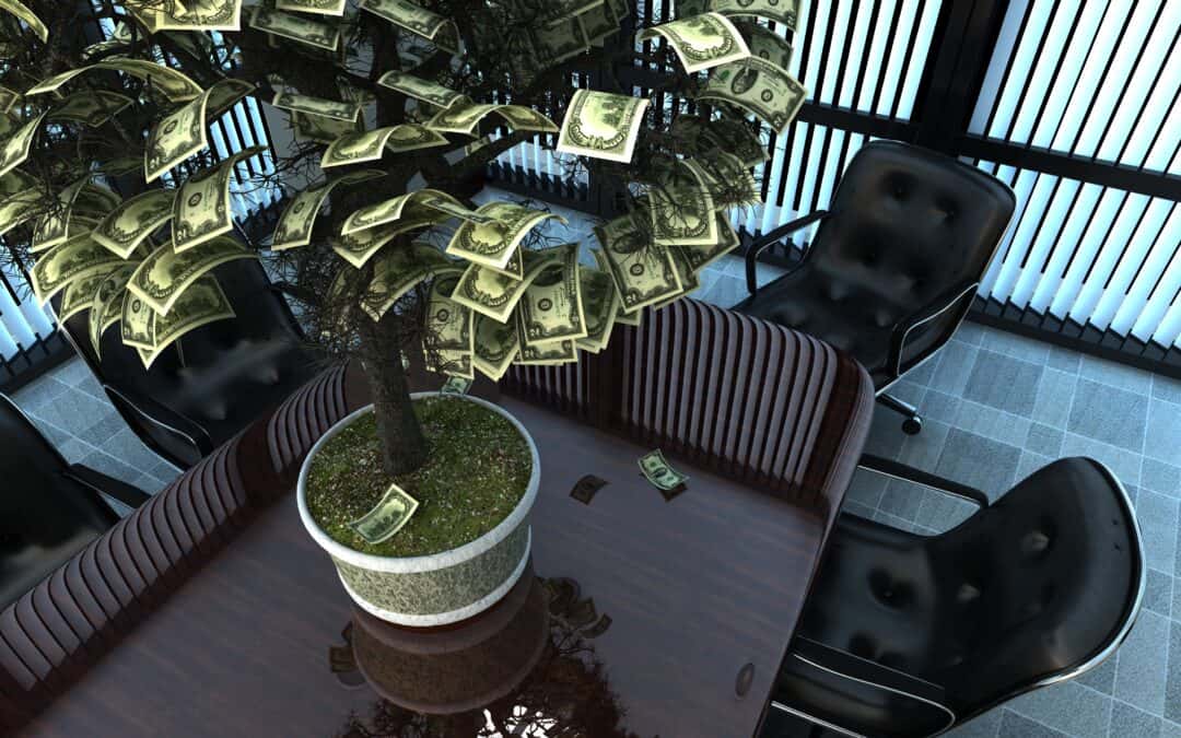 DIY Tips Money Tree